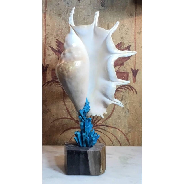Exquisite Joseph Malekan Handcrafted Natural Element Sculptures For Sale - Image 14 of 15