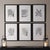 Illustration Framed Gray-Tone Fern Prints, Set Of 6 For Sale - Image 3 of 3
