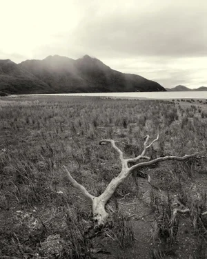Patagonia 6 Black & White Photograph