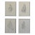 Vintage Quartet of Graphite on Paper Shirt Illustrations, a Set, Circa 1978 For Sale