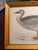 Victorian Antique Beverly Morris Original Bean Goose & Grey Lag Goose Framed Prints c.1855 - Set of 2 For Sale - Image 3 of 15