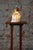 Asian Table Lamp in Brass and Porcelain, India, 1970s For Sale - Image 11 of 12