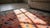 Pink 1920s Chinese Art Deco Carpet ( 9'2" x 11'9" - 280 x 358 ) For Sale - Image 8 of 8