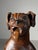 Hand-Carved Statue of Dog Saint Rocco, 18th Century For Sale - Image 3 of 18