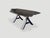 Andrianna Shamaris Live Edge Ebonized Coffee Table For Sale - Image 13 of 18