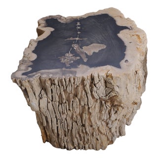 Big Petrified Wood Side Table by Xyleia Petrified Wood For Sale