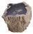 Big Petrified Wood Side Table by Xyleia Petrified Wood For Sale