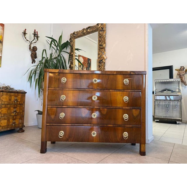Antique Biedermeier Chest of Drawers in Walnut For Sale - Image 14 of 14