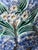 Antique Victorian Mojolica Mottled Dish, C. 1880's For Sale - Image 4 of 11