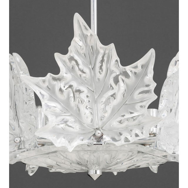 Lalique Champs-Elysees Chandelier For Sale - Image 12 of 16
