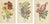 Late 19th Century Edward Step, Victorian Botanical Triptych, 1896, Paper, Set of 3 For Sale - Image 5 of 6