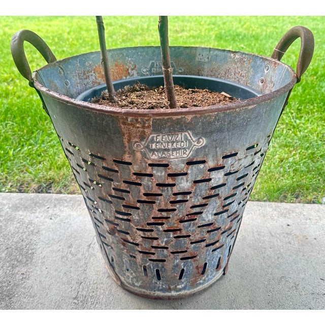 Vintage Olive/Harvest Bucket For Sale - Image 11 of 13
