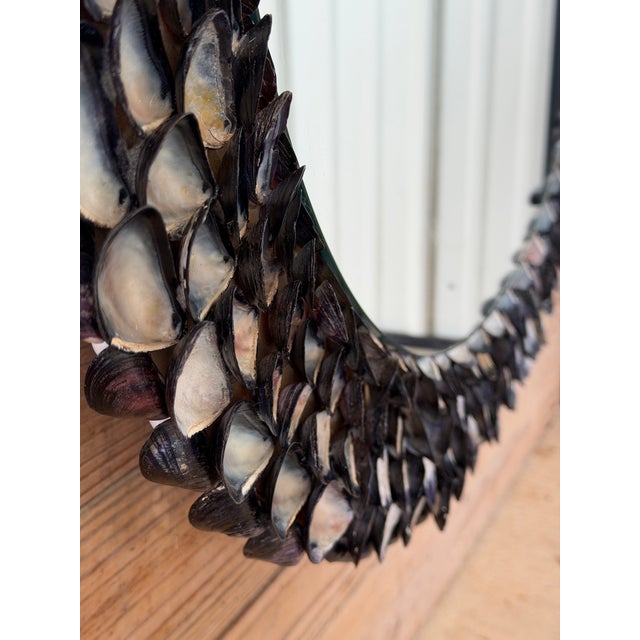 Handmade Coastal Mussel & Cowrie Shell Layered Round Mirror For Sale - Image 10 of 12