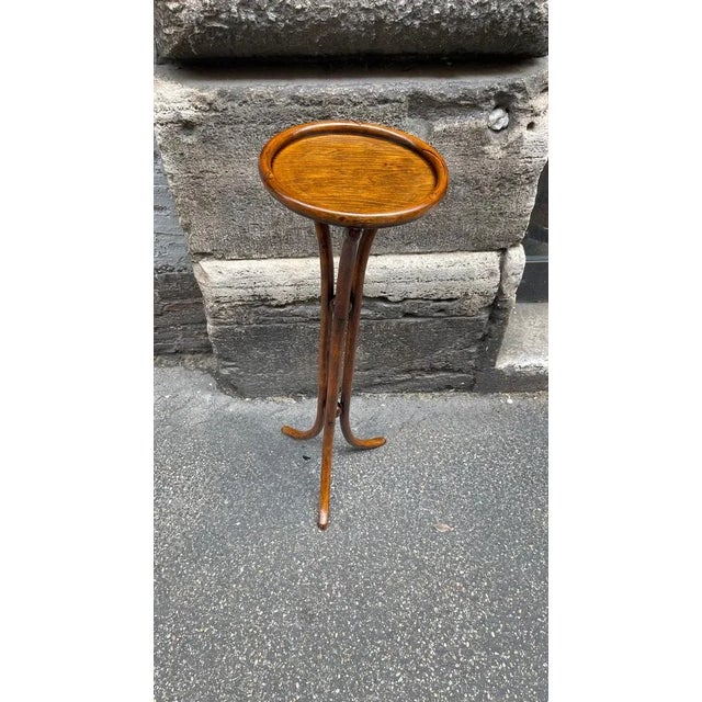 Thonet Bentwood Vase Holder or Side Table from Thonet For Sale - Image 4 of 4