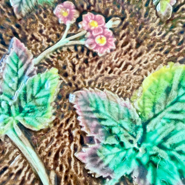 English Majolica Rustic Leaves on Bark Plates, Set of Two For Sale - Image 11 of 16