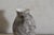 Vintage French Handcrafted Ceramic Pitcher, 1950s For Sale - Image 6 of 9