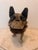Early 20th Century French Paper Mâché French Bulldog Figure For Sale In West Palm - Image 6 of 11