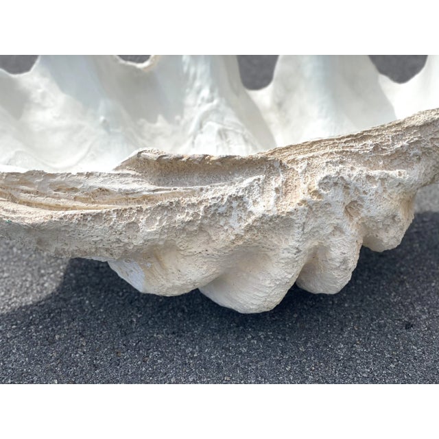 White Contemporary Oly Studio Lomobok Large Resin Clam Shell For Sale - Image 8 of 9