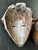 Two Carved Wood African Mask With Gilded Eyelids and Lips and Brass Decorations For Sale - Image 9 of 10