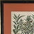 Vintage Framed Basilius Besler Botanical Lithograph Prints Hortus Eystettensis Pair For Sale - Image 14 of 18