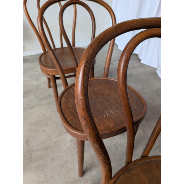 Vintage Carved Bentwood Farmhouse Dining Chairs, 1970s, Set of 3 For Sale - Image 10 of 18