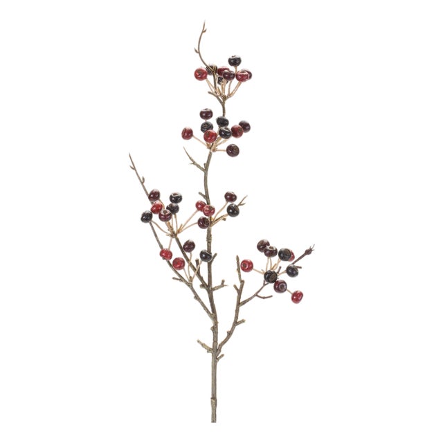 Berry Pod Spray (Set of 6) For Sale