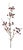 Berry Pod Spray (Set of 6) For Sale