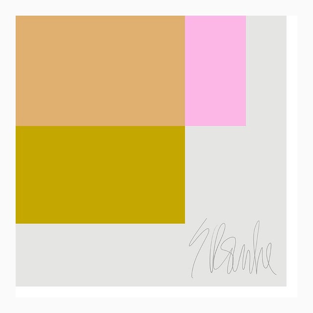 Not Yet Made - Made To Order The Interaction of High Pink and Spring Green Fine Art Print 20" X 24" by Liz Roache For Sale - Image 5 of 5