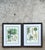 Vintage Framed Botanical Palm Illustrations - Set of 2 For Sale In West Palm - Image 6 of 15