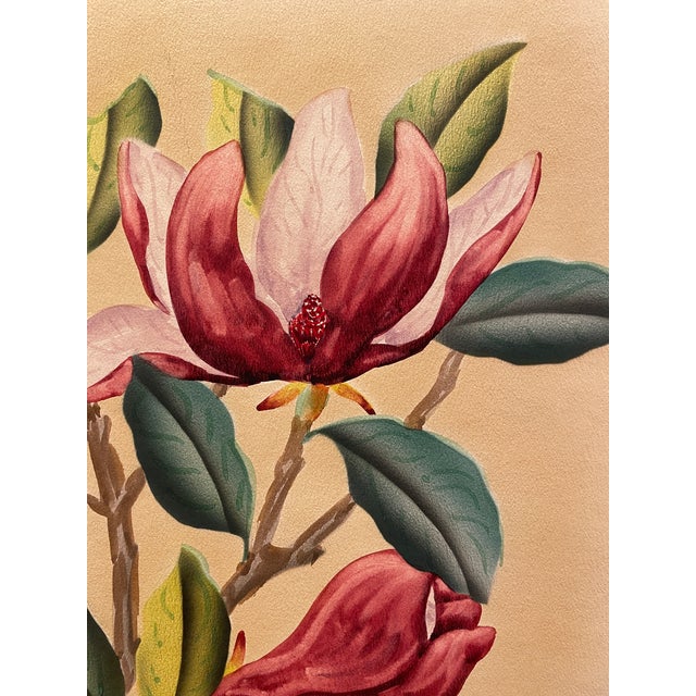 1940s Shirrell Graves Saucer Magnolia Painting For Sale - Image 4 of 7