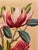 1940s Shirrell Graves Saucer Magnolia Painting For Sale - Image 4 of 7