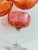 Red Crystal Champagne Glasses, Set of 12 For Sale - Image 8 of 9