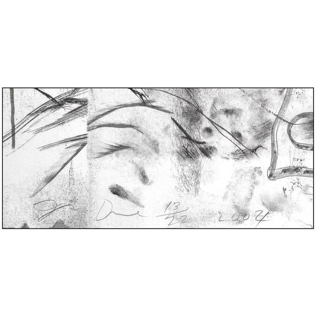 The Sky in Madison, Jim Dine For Sale - Image 4 of 5