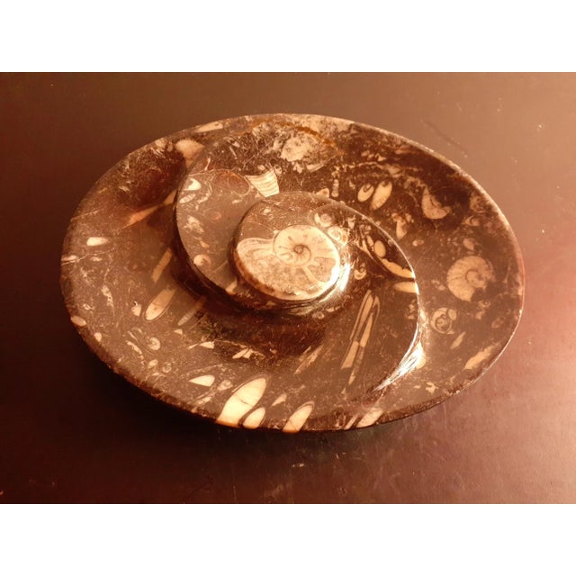 Art Deco Vintage Polished Black Orthoceras and Ammonite Fossil Divided Bowl For Sale - Image 3 of 7