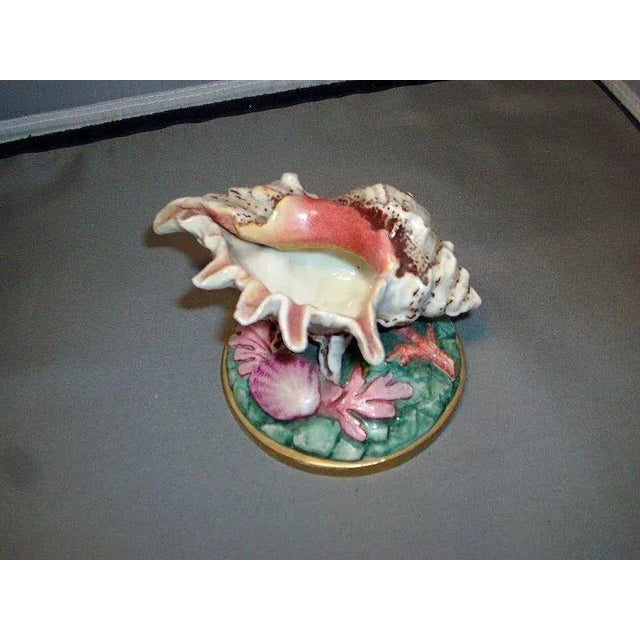 1865 Worcester Porcelain Murex Sea Shell Vase For Sale - Image 9 of 10