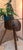 Brown Primitive Side Table, 1900 For Sale - Image 8 of 11