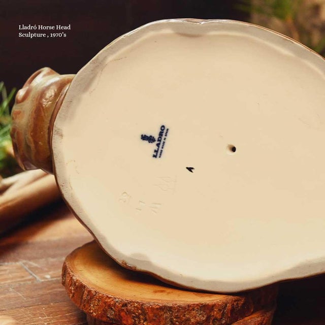 Thief Horse Head Sculpture by Salvador Furio, 1970 For Sale - Image 3 of 7