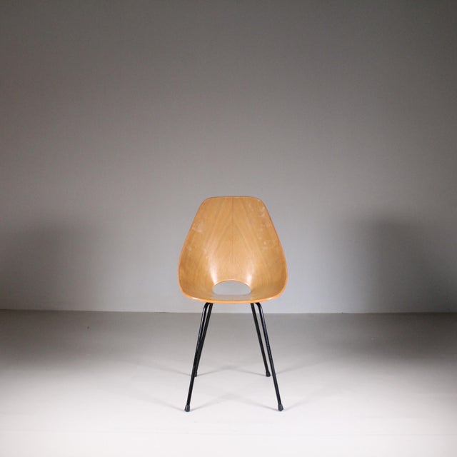 Vintage Medea Chairs by Vittorio Nobili for Fratelli Tagliabue, Set of 3 For Sale - Image 6 of 12