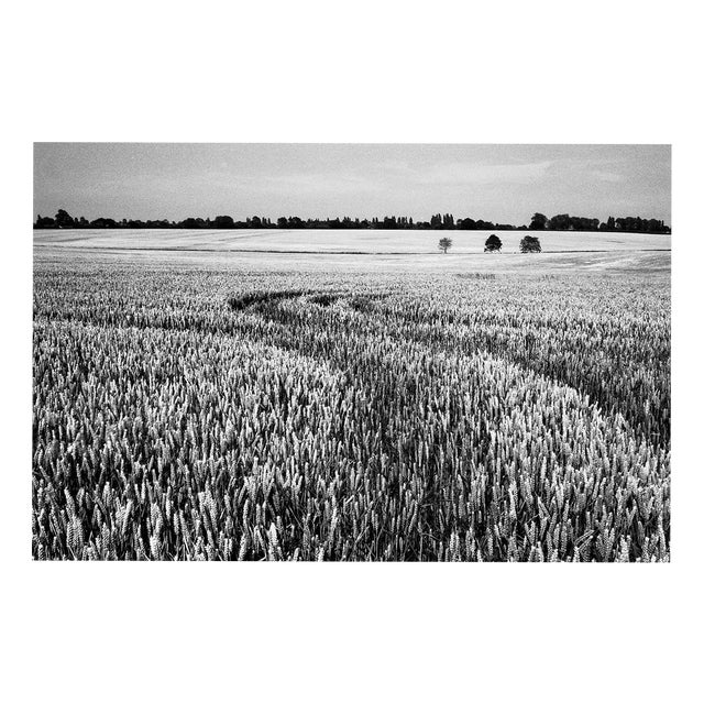 Paul Cooklin, Wheat Field, Occold IV, Edition of 50 For Sale