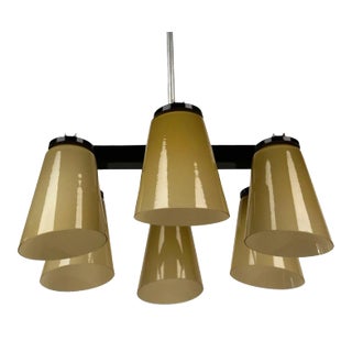 Ceiling Lamp with 6 Handmade Opaline Glass Shades from Lidokov, 1950s For Sale