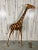 Large Leather Wrapped Hand Painted Giraffe Sculpture For Sale - Image 10 of 12