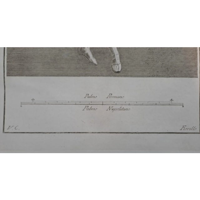 Vincenzo Campana, Ancient Roman Fresco Herculaneum, Etching, 18th Century For Sale - Image 3 of 4