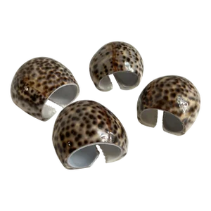 Tiger Shell Napkin Rings-4
