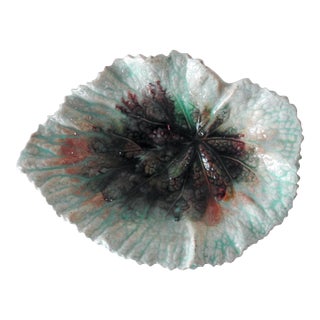 Small Antique Majolica Begonia Leaf Dish For Sale