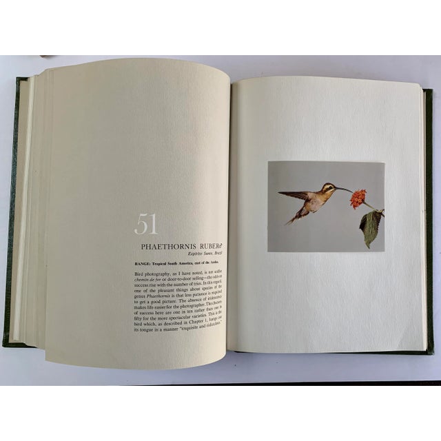 1960s 1960s Hummingbirds, Crawford. H Greenewalt, Limited Edition, Signed Book For Sale - Image 5 of 6