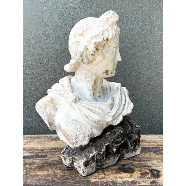Vintage Cast Stone Bust of Apollo Belvedere For Sale - Image 15 of 18