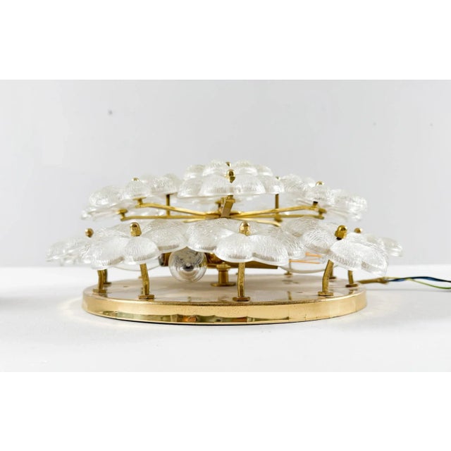 Mid-Century Modern Floral Wall Lamp by Ernst Palme, 1960s For Sale - Image 13 of 18