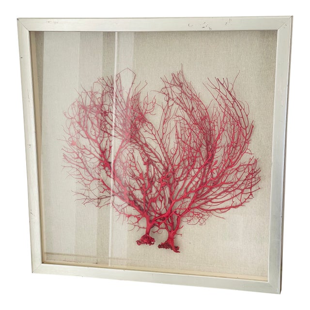 Vintage Boho Coastal Sea Whip Branches Painted Red Framed For Sale
