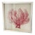 Vintage Boho Coastal Sea Whip Branches Painted Red Framed For Sale