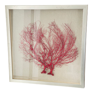 Vintage Boho Coastal Sea Whip Branches Painted Red Framed